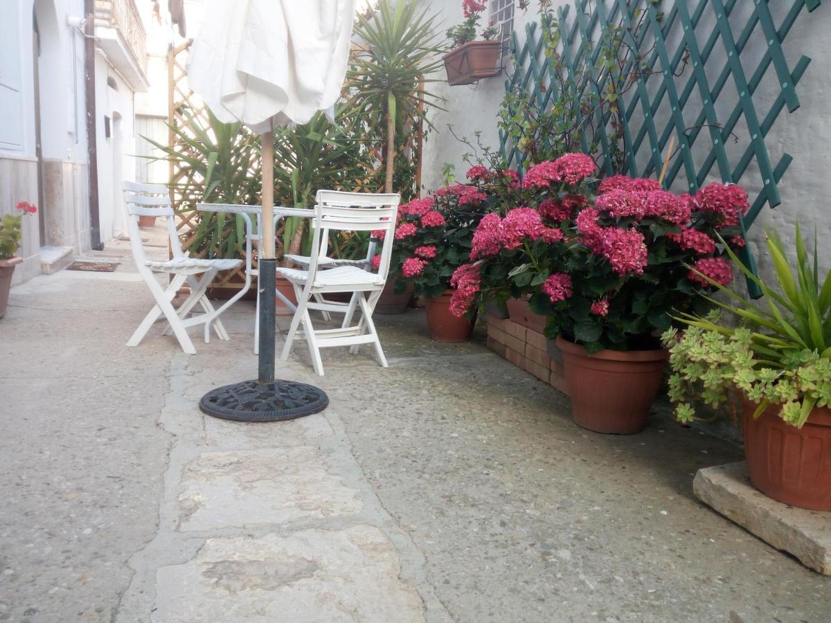 Bed and Breakfast Blue Moon à Spinazzola Extérieur photo