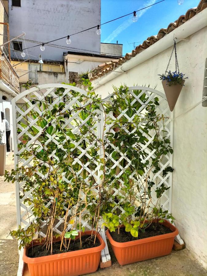 Bed and Breakfast Blue Moon à Spinazzola Extérieur photo
